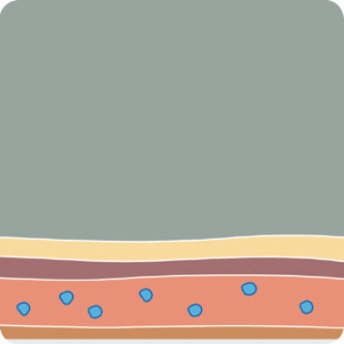 Step 3 - Elapromed - Illustration of skin surface